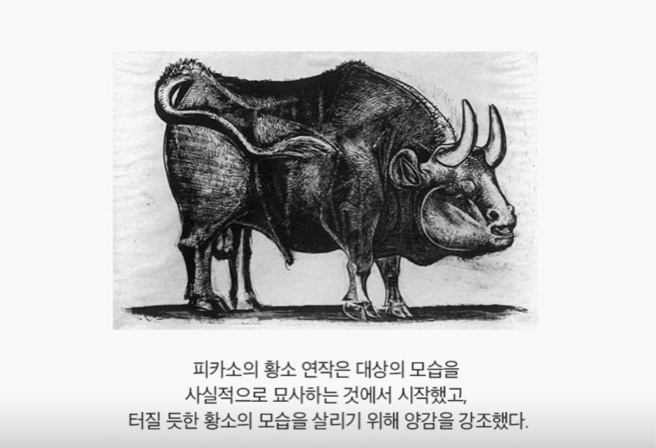 피카소의 황소 연작은 대상의 모습을 사실적으로 묘사하는 것에서 시작했고, 터질 듯한 황소의 모습을 살리기 위해 양감을 강조했다.